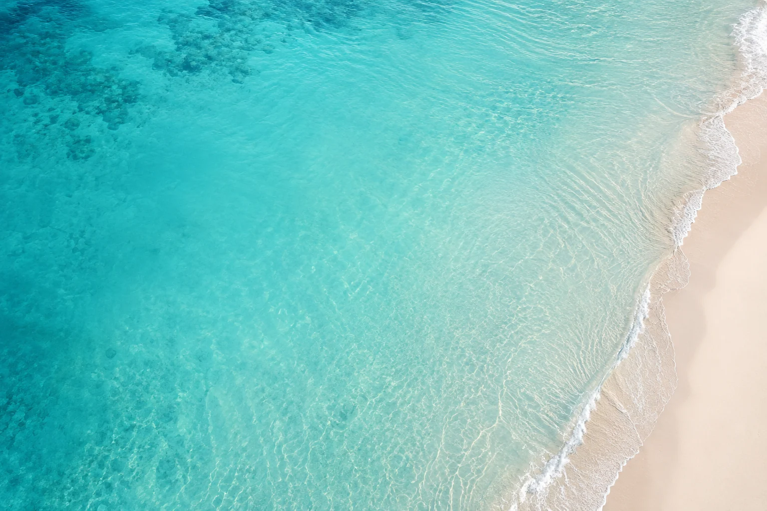 ocean